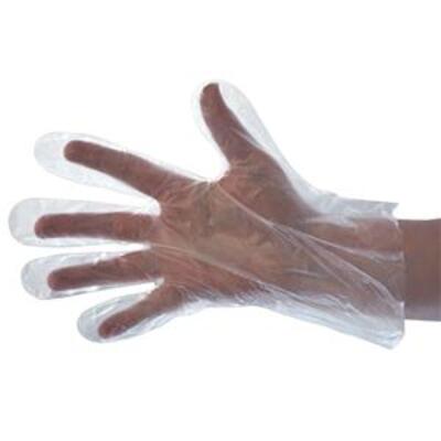 Disposable Polythene Gloves Clear Large x100